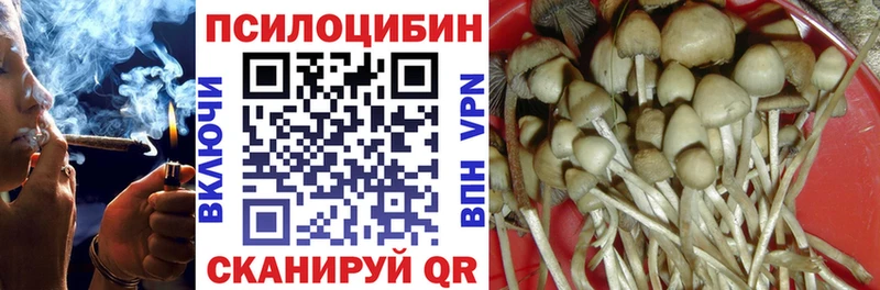 mega как зайти  купить наркотик  Рыбинск  Псилоцибиновые грибы MAGIC MUSHROOMS 
